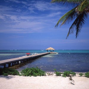 May include: A wooden pier extends out over a calm, turquoise ocean towards a thatched roof hut. A palm tree leans over the water in the background. The beach is white sand.