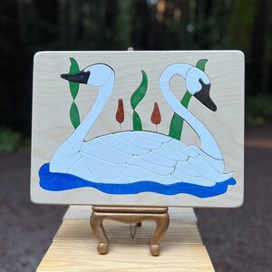 Swans