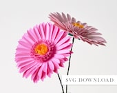 Articolo da questo negozio