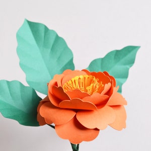 Paper flower camelia SVG download diy for cricut digital cut file image 4