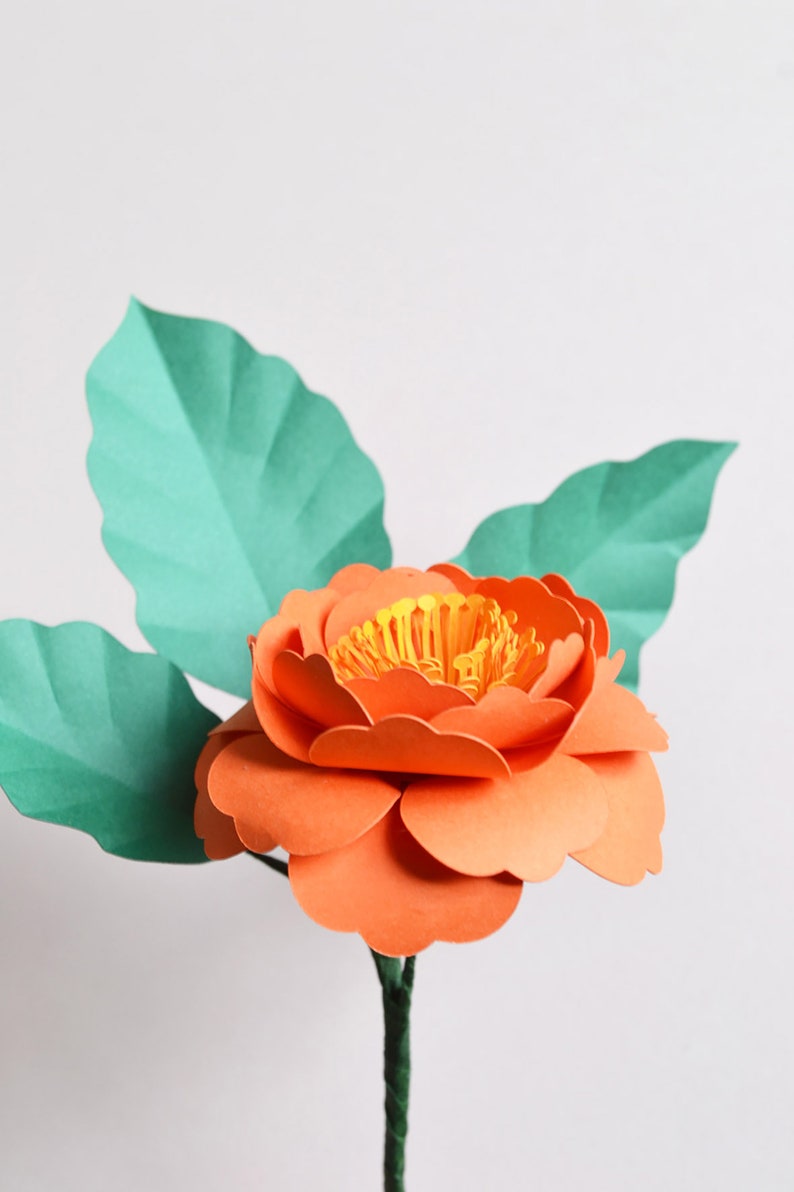 Paper flower camelia SVG download diy for cricut digital cut file image 4