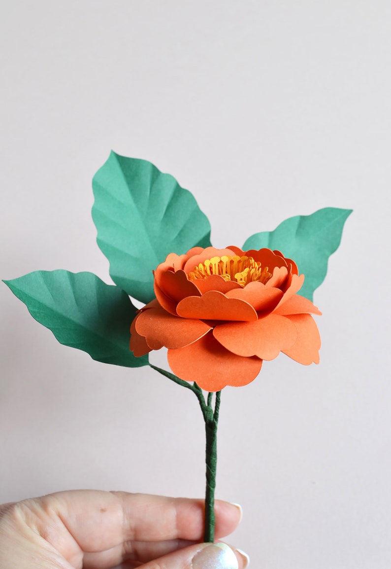 Paper flower camelia SVG download diy for cricut digital cut file image 3