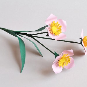 Paper flower wild flower SVG download diy for cricut or digital cutting machine image 2