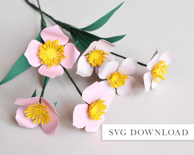 Paper flower wild flower SVG download diy for cricut or digital cutting machine image 1