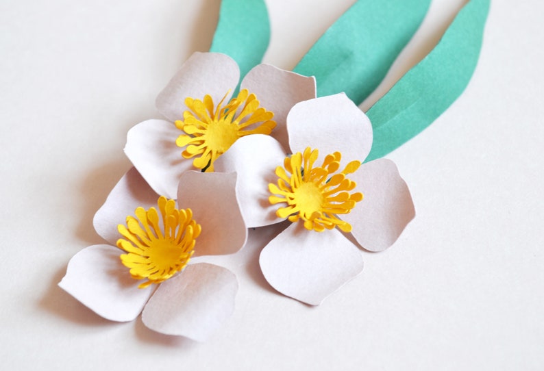 Paper flower wild flower SVG download diy for cricut or digital cutting machine image 3