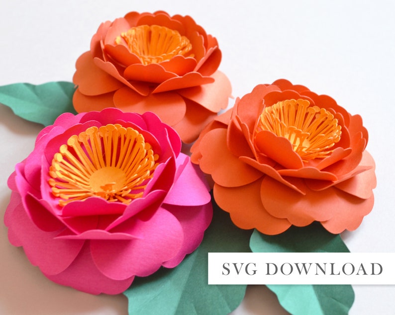 Paper flower camelia SVG download diy for cricut digital cut file image 1