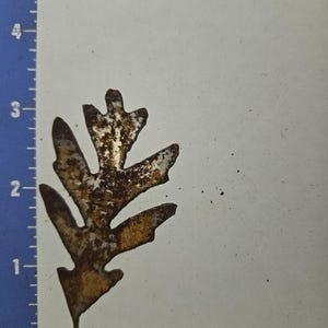 May include: A rusty metal leaf-shaped cutout, approximately 2 inches in length, with a detailed oak leaf design. The cutout has a brown and gold color scheme, with visible texture and imperfections. The leaf is placed on a white background with a blue ruler.