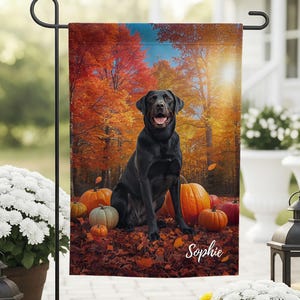 Pode incluir: Uma bandeira de jardim com um Labrador Retriever preto rodeado por abóboras e folhas de outono. O fundo mostra uma floresta com árvores vermelhas e laranja. O nome do cão, Sophie, está na bandeira.