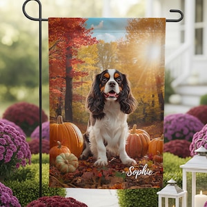 Könnte beinhalten: Eine Gartenflagge mit einem Cavalier King Charles Spaniel, der zwischen Kürbissen und Herbstlaub sitzt. Der Hund hat braunes, weißes und schwarzes Fell. Die Flagge trägt den Namen "Sophie". Der Hintergrund zeigt einen Wald mit Herbstfarben.
