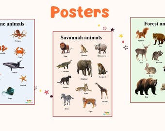 Animales de la sabana de Postrer