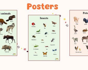 Póster de insectos: Arte mural educativo (descarga digital)