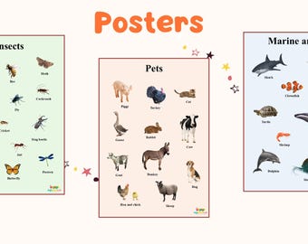 Pósteres educativos de animales: Niños que aprenden colores, formas y números (Descarga digital)
