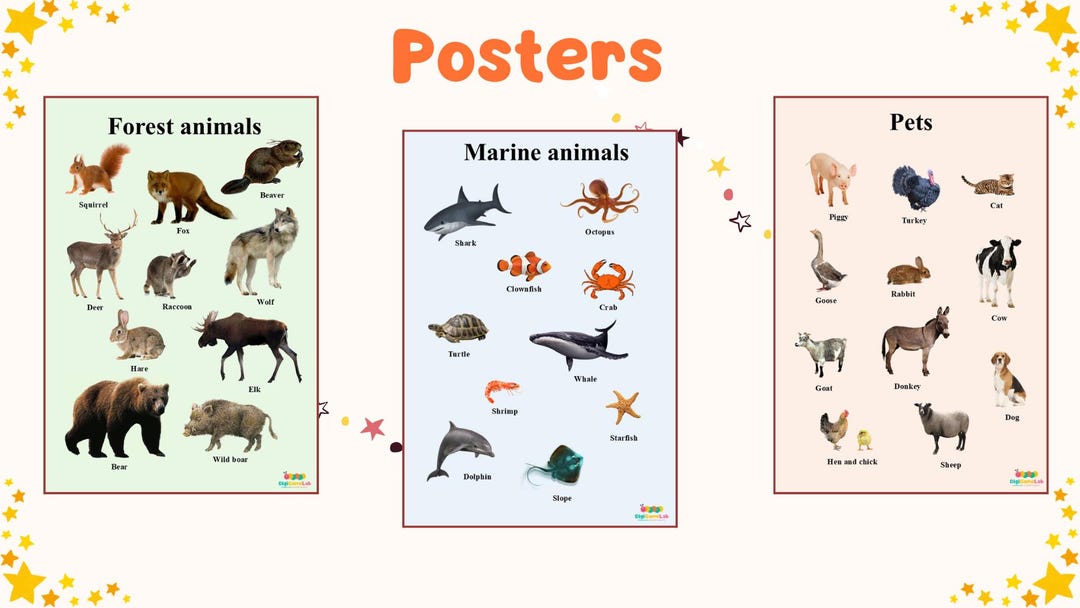 Poster Marine Animals - Etsy