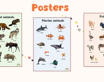 Afiche Animales marinos