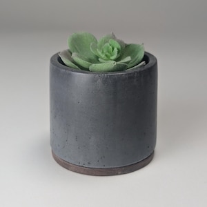 May include: A small, cylindrical, dark gray concrete planter with a faux succulent. The planter has a dark brown base. The succulent has green leaves. The overall design is minimalist and modern.
