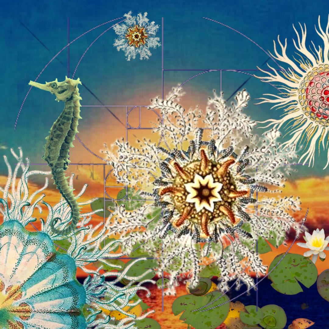 Diatomic Dance, Original HD Digital Cover Art Printed on Premium Semi ...