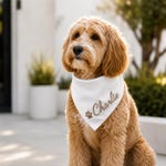Dog Bandanas