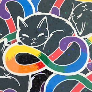 Könnte beinhalten: Eine schwarze Katze, die sich in einem Regenbogen-Unendlichkeitszeichen zusammengerollt hat. Die Katze hat ein süßes, cartoonartiges Gesicht und schläft. Der Regenbogen besteht aus sechs Farben: Rot, Orange, Gelb, Grün, Blau und Lila.
