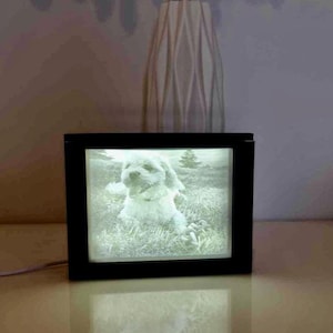 May include: A black framed 3D illuminated picture of a dog in a field. The picture is lit from behind, creating a soft glow.
