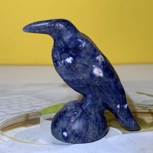 1.9&#39;&#39;+ Natural Sodalite quartz,quartz crystal,Crystal Bird,Bird Skull,Hand Carved Crystal Gifts 1pc