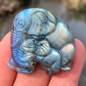 1.5''+ Natural Labradorite quartz crystal,hand carved Crystal Elephant skull Gifts 1pc