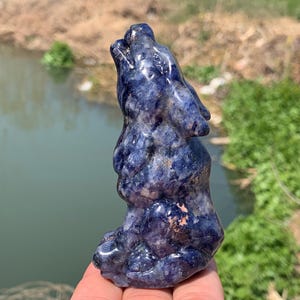 3.5&#39;&#39;+ Natural Sodalite quartz,quartz crystal,Crystal Wolf,Wolf Skull,Hand Carved Crystal Gifts 1pc