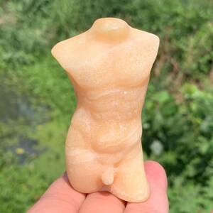 Peut inclure: Une sculpture de torse en pierre sculptée de couleur pêche. La sculpture représente une forme masculine, avec une musculature définie et des détails anatomiques. La sculpture est tenue dans une main sur un fond vert flou.