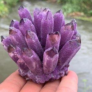 300g+ Amethyst Phantom Cluster specimen,quartz crystal,Crystal Mineral Vug specimen,Crystal Gifts 1pc