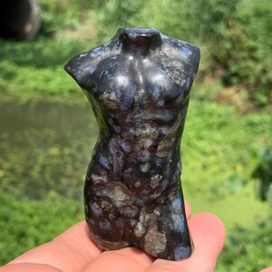 Peut inclure: Une sculpture sombre et ornée d'un torse. La sculpture est principalement noire avec des accents bleus et gris. La forme est lisse et polie, avec une musculature définie. L'arrière-plan est une vue floue de feuillage vert et d'eau.