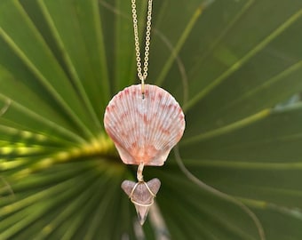 Scallop seashell shark tooth necklace gold