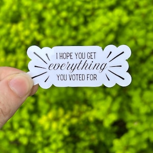 Vinyl Sticker "I hope you get EVERYTHING you voted for", Anti Trump Sticker