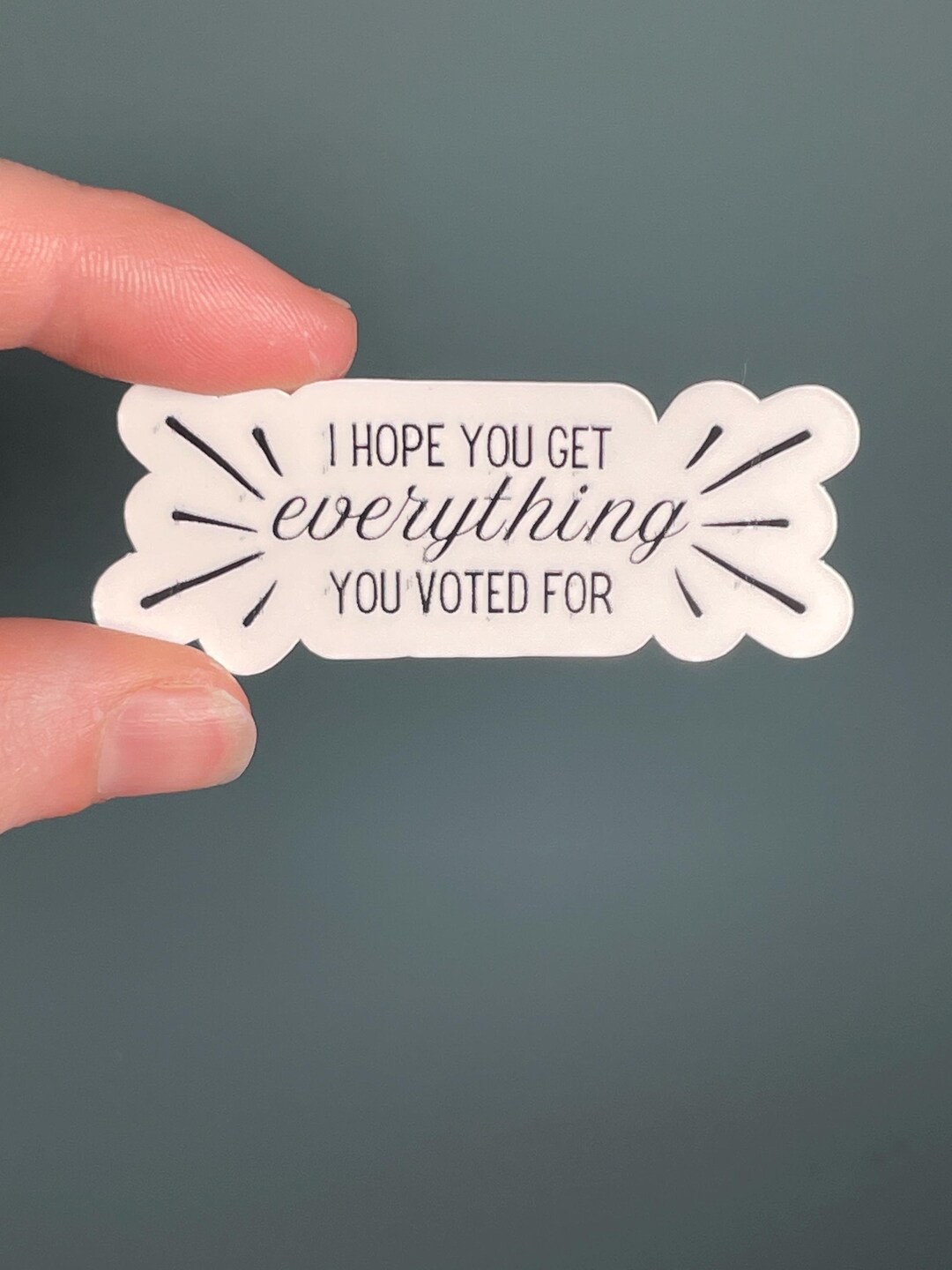 Vinyl Sticker "i Hope You Get EVERYTHING You Voted For", Anti Trump ...