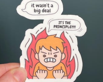 Vinyl Sticker "IT'S THE PRINCIPLE!!", Rage Sticker, Common Sense Sticker