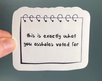Vinyl Sticker "This is exactly what you assholes voted for” Snarky Anti Trump Sticker