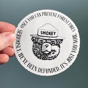 Autocollant en vinyle « Vous seul pouvez prévenir les incendies de forêt. Sérieusement. Nous n'avons pas reçu de financement. Il n'y a que vous maintenant. Anti Trump sauvez le NPS !