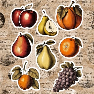 Fruits Vintage PNG | Illustrations rétro pour impressions et designs