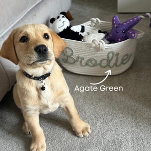 カスタムペットおもちゃバスケット、子犬のおもちゃ箱、犬猫バスケット、犬用アクセサリー、新しい猫のおもちゃ犬用ギフト、カスタムペットギフト、ペット用収納、ペット用ギフト