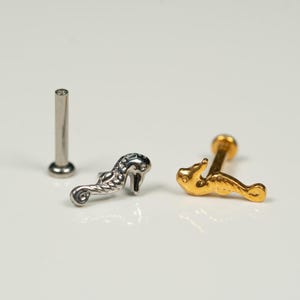 20G, 18G, 16G Gold Silver Seahorse, Threadless Flat Back Stud, Flat Back Cartilage, Tragus Piercing, Conch Stud, Helix Stud, V31