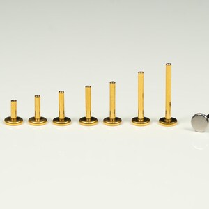 Puede incluir: Un conjunto de diez piezas de joyer&iacute;a corporal de color dorado, que incluye un pendiente de labio con respaldo plano y nueve tama&ntilde;os diferentes de postes de labio con respaldo plano. Los postes de labio est&aacute;n dispuestos en orden de tama&ntilde;o, del m&aacute;s peque&ntilde;o al m&aacute;s grande.