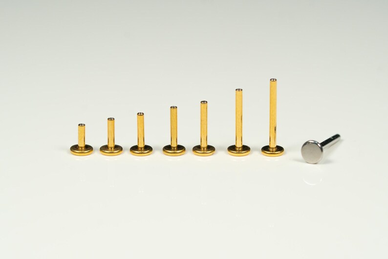 Puede incluir: Un conjunto de diez piezas de joyer&iacute;a corporal de color dorado, que incluye un pendiente de labio con respaldo plano y nueve tama&ntilde;os diferentes de postes de labio con respaldo plano. Los postes de labio est&aacute;n dispuestos en orden de tama&ntilde;o, del m&aacute;s peque&ntilde;o al m&aacute;s grande.