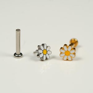 20G, 18G, 16G Gold Silber Daisy Blume, fadenloser Bolzen mit flacher Rückseite, Knorpel, Tragus Piercing, Conch Bolzen, Helix Bolzen, U19