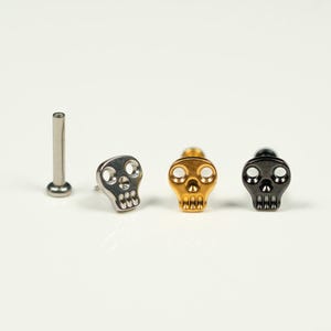20G, 18G, 16G Gold Silver Black Skull Head, Threadless Flat Back Stud, Flat Back Cartilage, Tragus Piercing, Conch Stud, Helix Stud, Z27