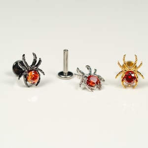 16G Spider Flat Back Stud, Screw Back Earrings, Internally Threaded, Cartilage Earring, Conch Earring, Helix, Tragus, Gold, Silver AC12