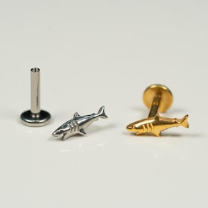 16G Hai Hai Bolzen mit flacher Rückseite, Ohrringe mit Innengewinde, Knorpelohrring, Muschelohrring, Helix, Tragus, Gold, Silber AC10