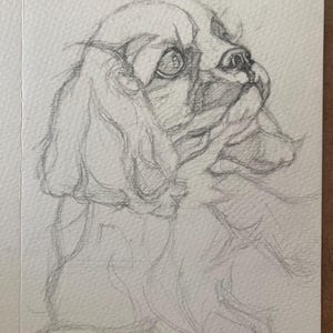 Haustier Geschenk,Hunde Geschenk,Original handgemalte Karten,Grußkarte,Dankeschön,Geburtstag,Muttertag,5 x 7 Zoll