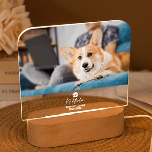 Personalised Pet Memorial Led Night Light,Pet Picture Acrylic Night Light,Bedroom Beside Light,Pet Lover Gifts,Los Of Pet Gift,Sympathy Gift