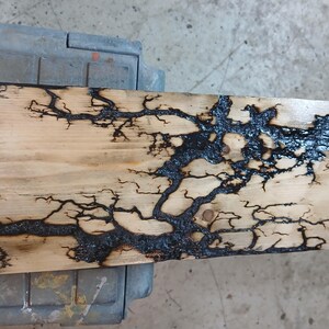 May include: A close-up of a wooden board with a black, tree-like pattern burned into the surface. The pattern resembles a lightning strike or a network of veins.