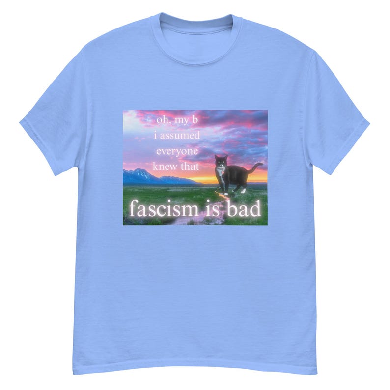 Fascism is Bad Shirt, Antifa Shirt, Socialist, Leftist, Anti-fascist Unisex Shirt, Funny Cat Meme