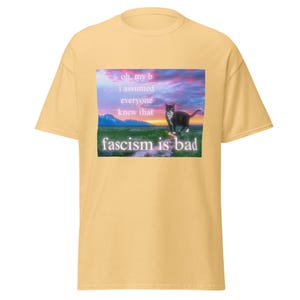 Fascism is Bad Shirt, Antifa Shirt, Socialist, Leftist, Anti-fascist Unisex Shirt, Funny Cat Meme