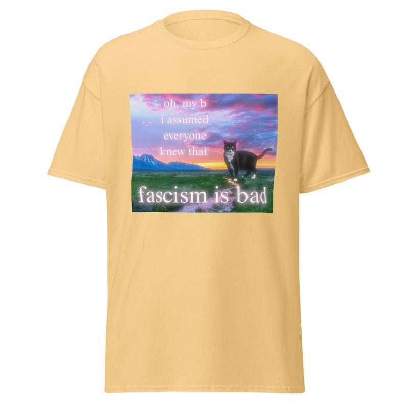 Fascism is Bad Shirt, Antifa Shirt, Socialist, Leftist, Anti-fascist Unisex Shirt, Funny Cat Meme